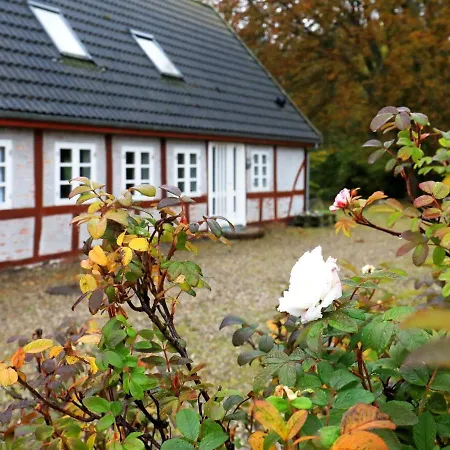 Tatil Evi Holiday Xxv